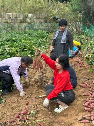 다락뜰농원님의 자유주제 · 자유게시판 작성글 사진