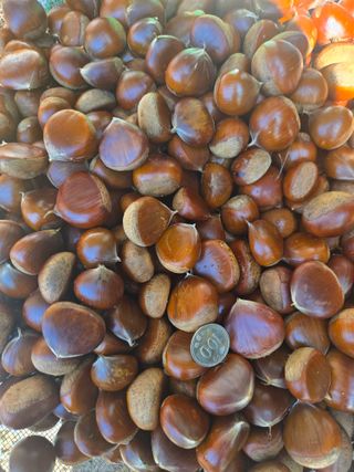 장지영님의 작성글 사진