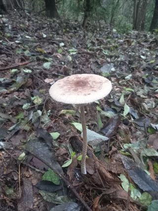 연향님의 자유주제 · 자유게시판 작성글 사진