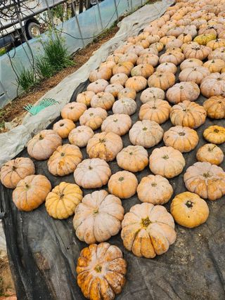 최재혁님의 자유주제 · 자유게시판 작성글 사진