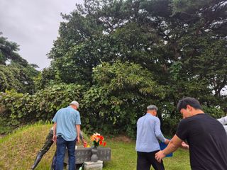 김영진(전남영광)님의 자유주제 · 자유게시판 작성글 사진