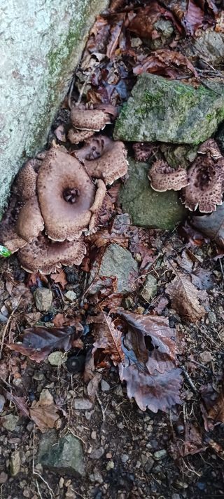 김 연님의 자유주제 · 자유게시판 작성글 사진