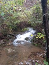 팜모닝 자유주제·자유게시판 게시글 이미지