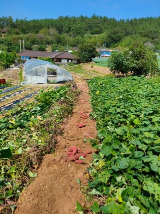 박원옥님의 자유주제 · 자유게시판 작성글 사진