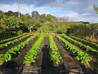 홍승대님의 자유주제 · 자유게시판 작성글 사진