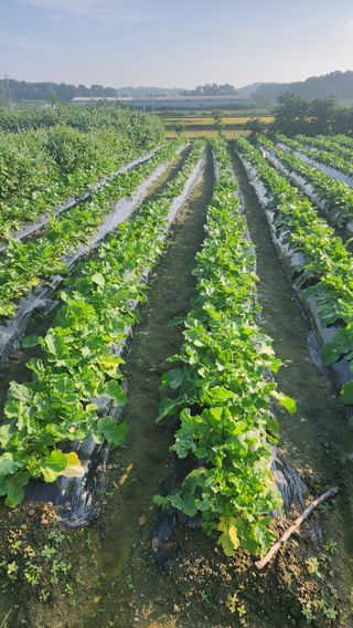 곽재섭님의 자유주제 · 자유게시판 작성글 사진