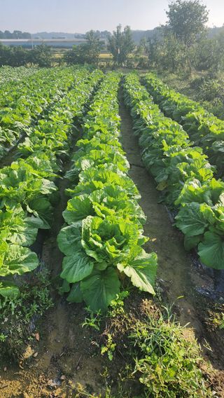 곽재섭님의 자유주제 · 자유게시판 작성글 사진