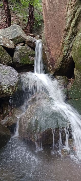 김 연님의 자유주제 · 자유게시판 작성글 사진