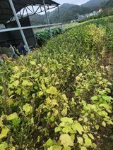 팜모닝 자유주제·자유게시판 게시글 이미지