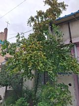 팜모닝 자유주제·자유게시판 게시글 이미지