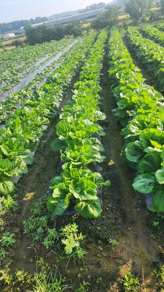 곽재섭님의 자유주제 · 자유게시판 작성글 사진