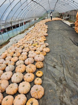 최재혁님의 자유주제 · 자유게시판 작성글 사진