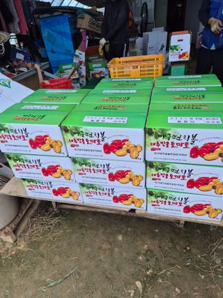 병풍취산채농원님의 자유주제 · 자유게시판 작성글 사진