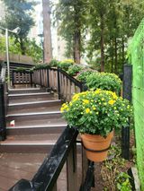 팜모닝 자유주제·자유게시판 게시글 이미지