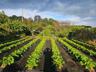 홍승대님의 자유주제 · 자유게시판 작성글 사진