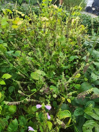 하동여태화님의 자유주제 · 자유게시판 작성글 사진