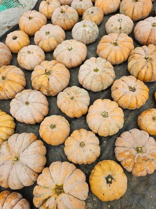 최재혁님의 자유주제 · 자유게시판 작성글 사진