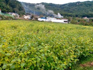 강근희님의 자유주제 · 자유게시판 작성글 사진