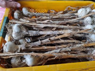 안평식님의 자유주제 · 자유게시판 작성글 사진