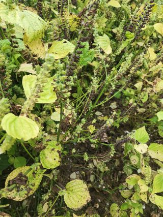 하동여태화님의 자유주제 · 자유게시판 작성글 사진