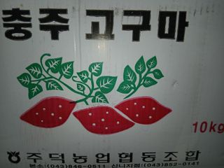 김윤식님의 작성글 사진