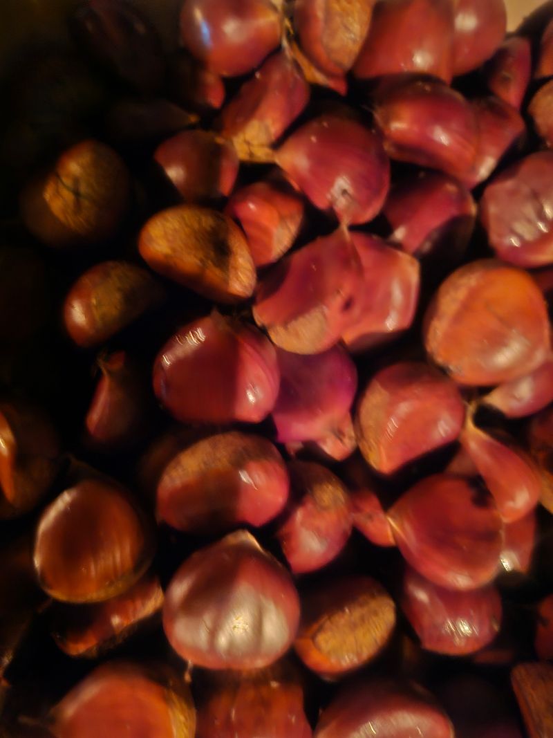 장터 상품 [햇밤 4kg ] 썸네일