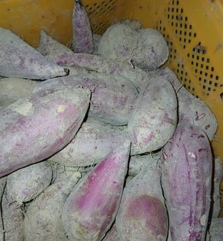 김윤식님의 작성글 사진