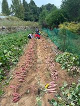 팜모닝 자유주제·자유게시판 게시글 이미지