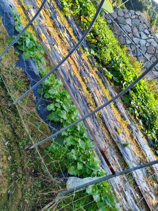 박원옥님의 자유주제 · 자유게시판 작성글 사진