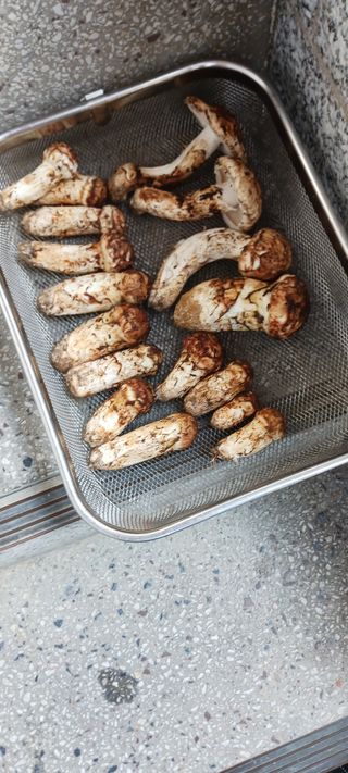 김 연님의 자유주제 · 자유게시판 작성글 사진