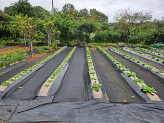 홍승대님의 자유주제 · 자유게시판 작성글 사진