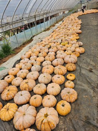 최재혁님의 자유주제 · 자유게시판 작성글 사진