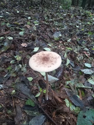 연향님의 자유주제 · 자유게시판 작성글 사진