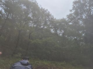 김영진(전남영광)님의 자유주제 · 자유게시판 작성글 사진