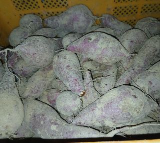 김윤식님의 작성글 사진