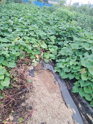 전희분님의 자유주제 · 자유게시판 작성글 사진