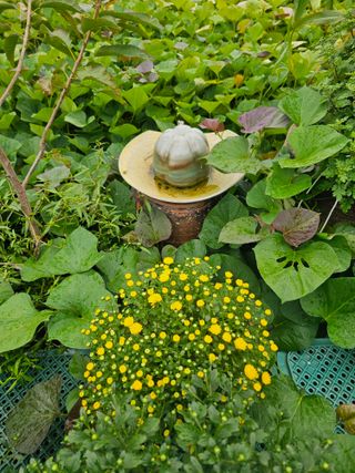 양철주님의 자유주제 · 자유게시판 작성글 사진