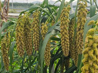 양철주님의 자유주제 · 자유게시판 작성글 사진