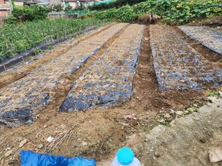 조정권님의 자유주제 · 자유게시판 작성글 사진