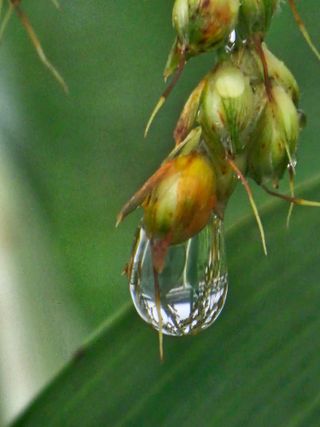 양철주님의 자유주제 · 자유게시판 작성글 사진