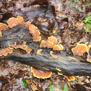 오봉세님의 자유주제 · 자유게시판 작성글 사진