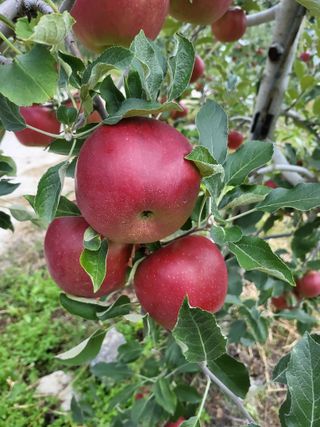 최용환 님의 자유주제 · 자유게시판 작성글 사진