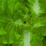 팜모닝 자유주제·자유게시판 게시글 이미지