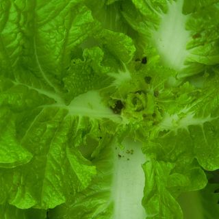 이창화님의 자유주제 · 자유게시판 작성글 사진