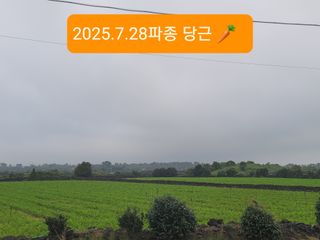 한경훈님의 자유주제 · 자유게시판 작성글 사진