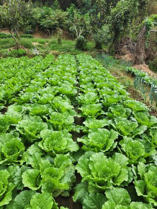 조정권님의 자유주제 · 자유게시판 작성글 사진