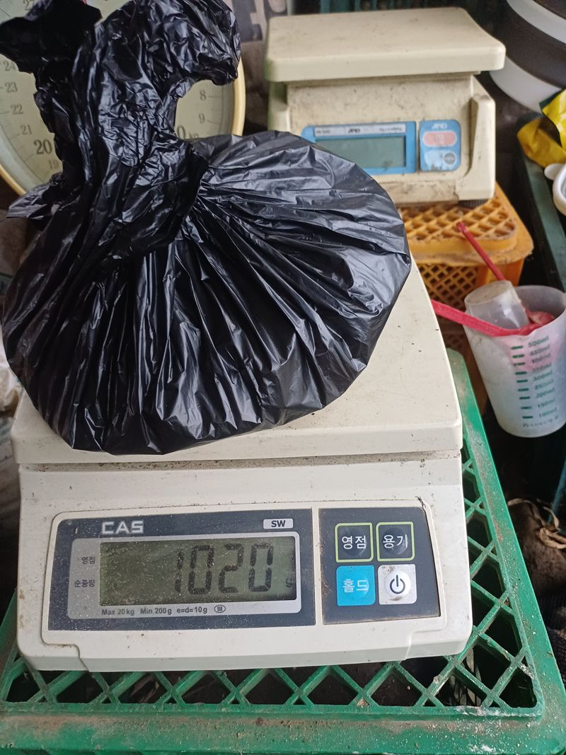 전원수님의 장터 판매 상품 [통마늘(도야마늘)] 첨부 사진