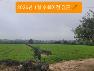 한경훈님의 자유주제 · 자유게시판 작성글 사진