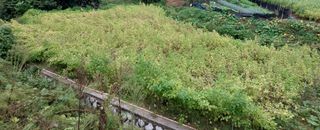 전재문님의 작성글 사진