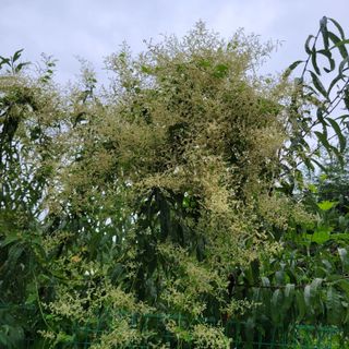 이창화님의 자유주제 · 자유게시판 작성글 사진